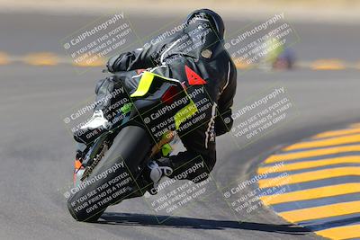 media/Oct-08-2022-SoCal Trackdays (Sat) [[1fc3beec89]]/Turn 11 Backside (1145am)/